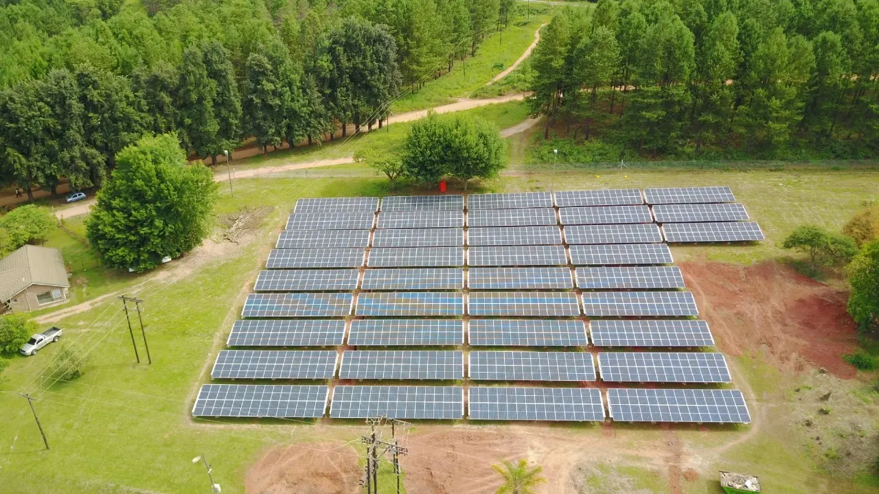 Types of Biomass: A Complete Guide for 2026
